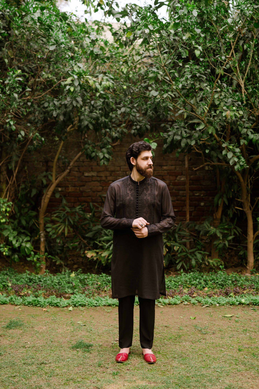 Imported lawn